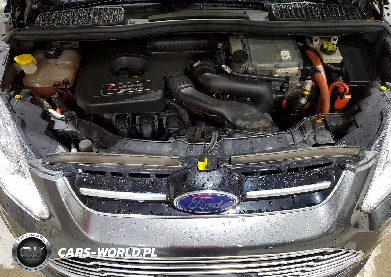 2016 Ford C-Max Premium Sel VIN:1FADP5CU7GL112611 - 12