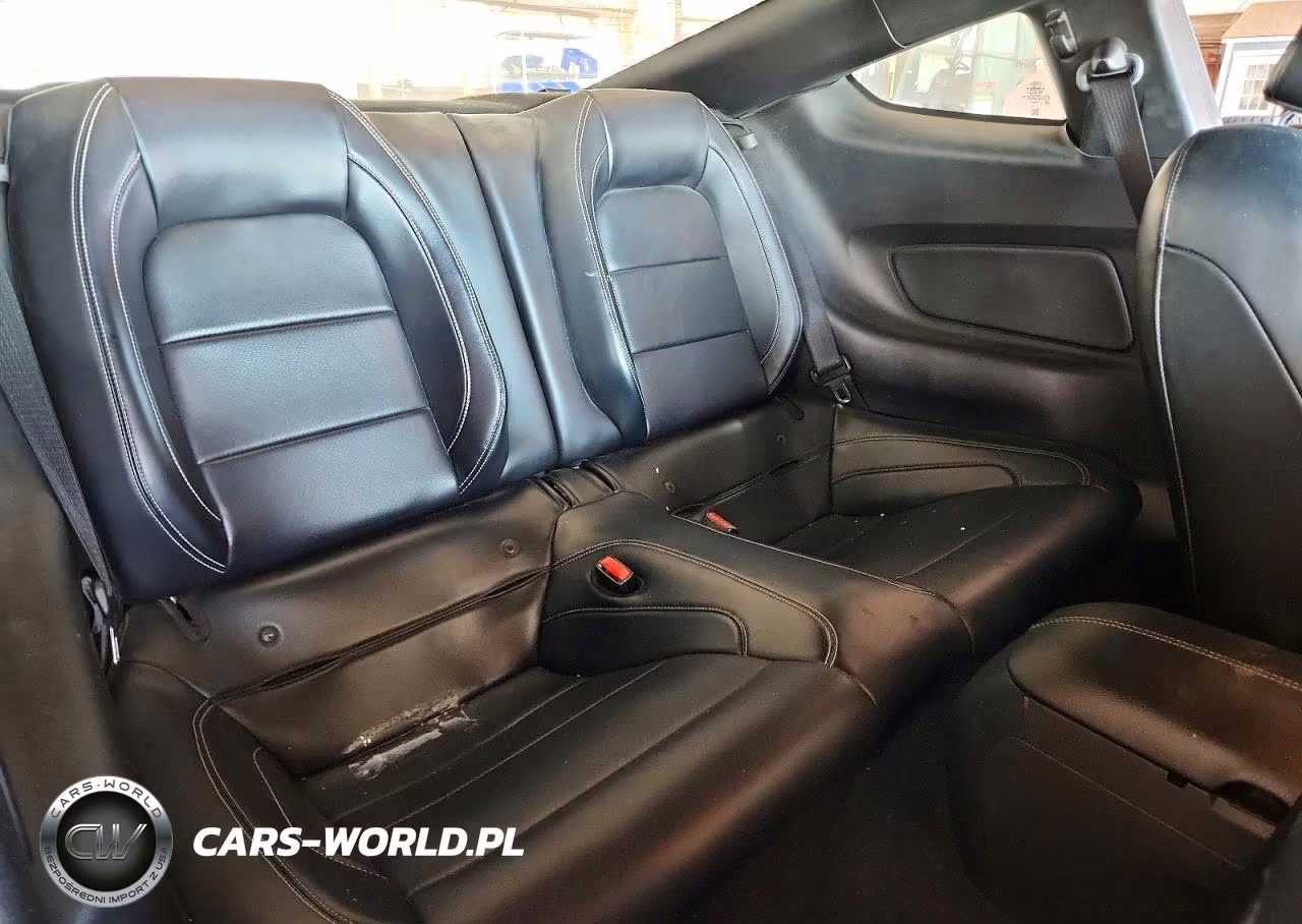 2015 Ford Mustang Gt VIN:1FA6P8CF7F5404743 - 10