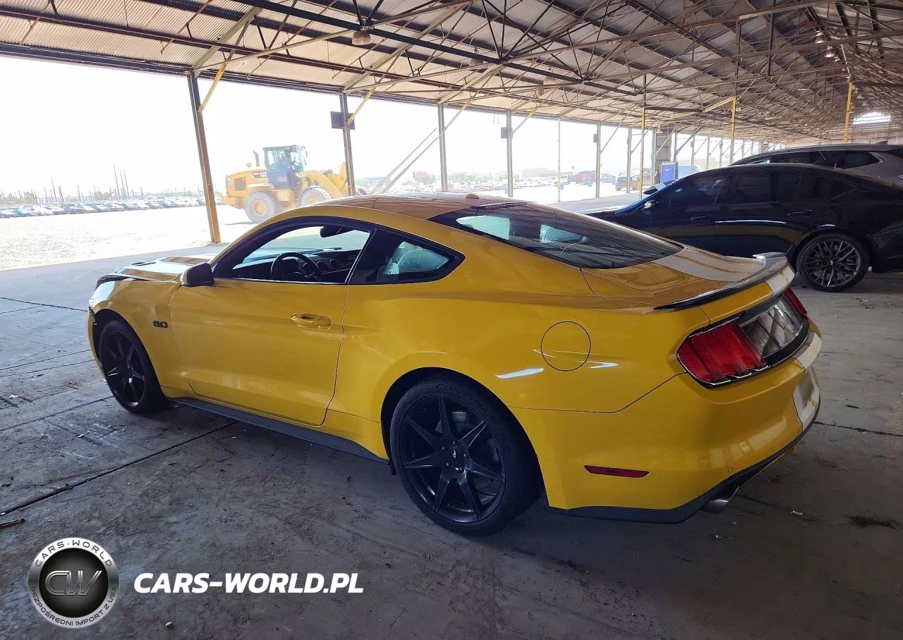 2015 Ford Mustang Gt VIN:1FA6P8CF7F5404743 - 2