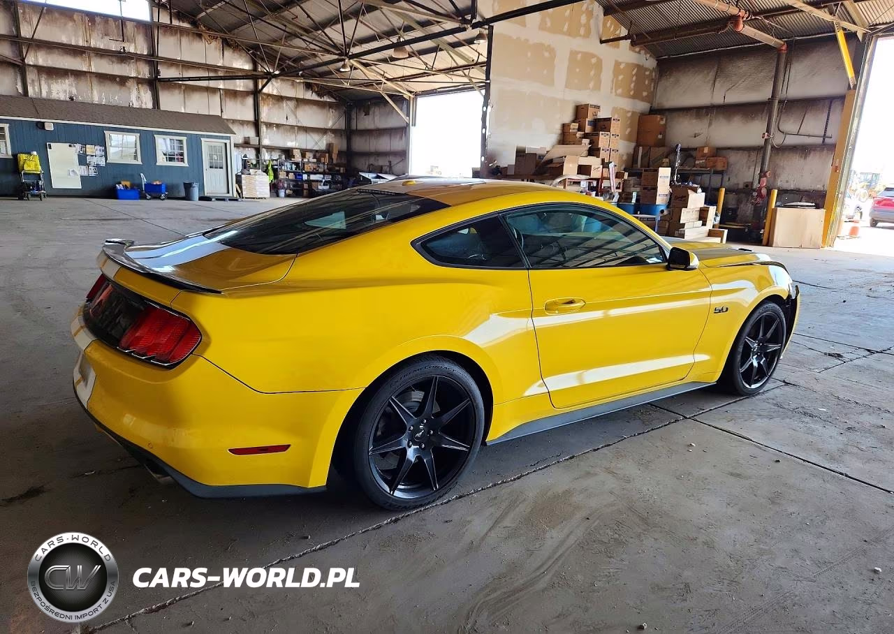 2015 Ford Mustang Gt VIN:1FA6P8CF7F5404743 - 3