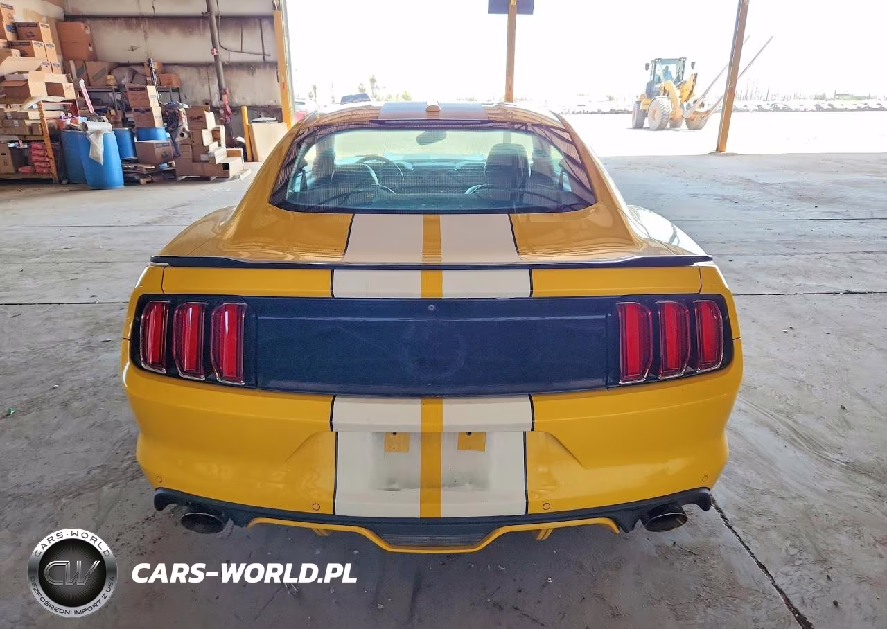 2015 Ford Mustang Gt VIN:1FA6P8CF7F5404743 - 6