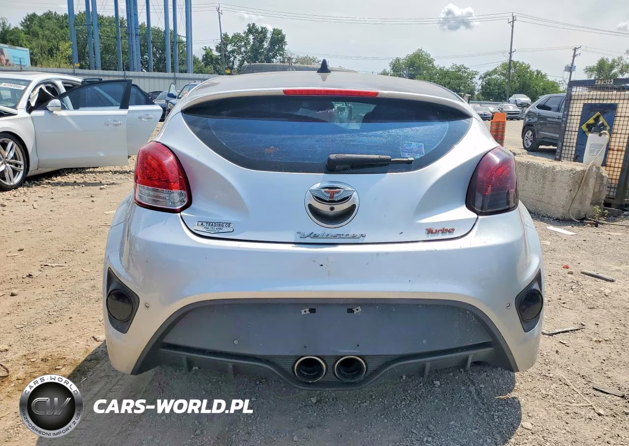 2013 Hyundai Veloster Turbo VIN:KMHTC6AE2DU110477 - 6
