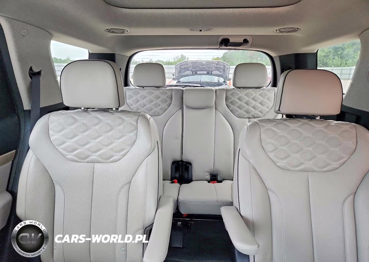 2021 Hyundai Palisade Limited VIN:KM8R5DHE7MU267369 - 10