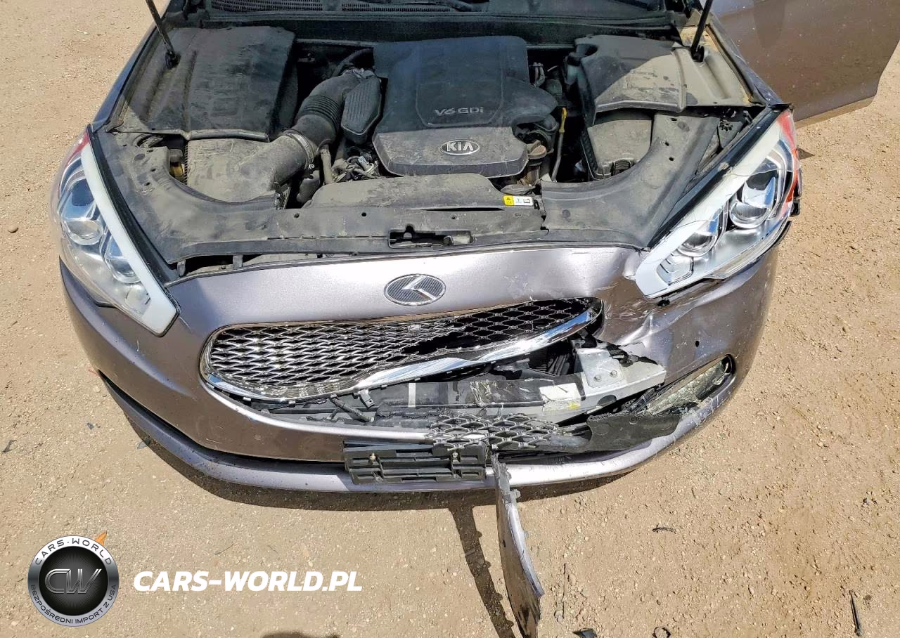 2016 Kia K900 Luxury V6 VIN:KNALU4D34G6032726 - 11