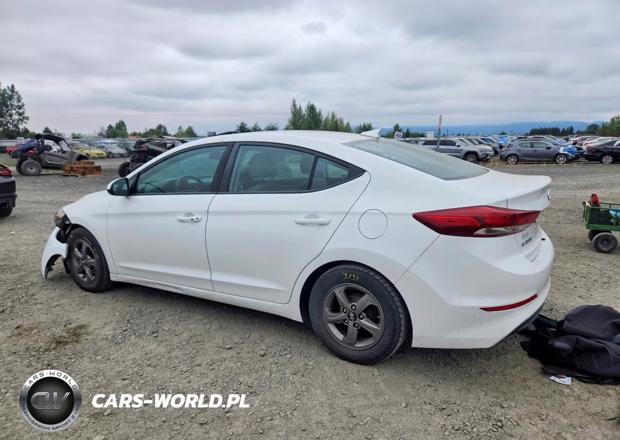 2017 Hyundai Elantra Eco VIN:5NPD94LA6HH098548 - 2