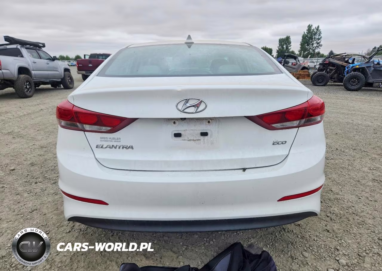 2017 Hyundai Elantra Eco VIN:5NPD94LA6HH098548 - 6