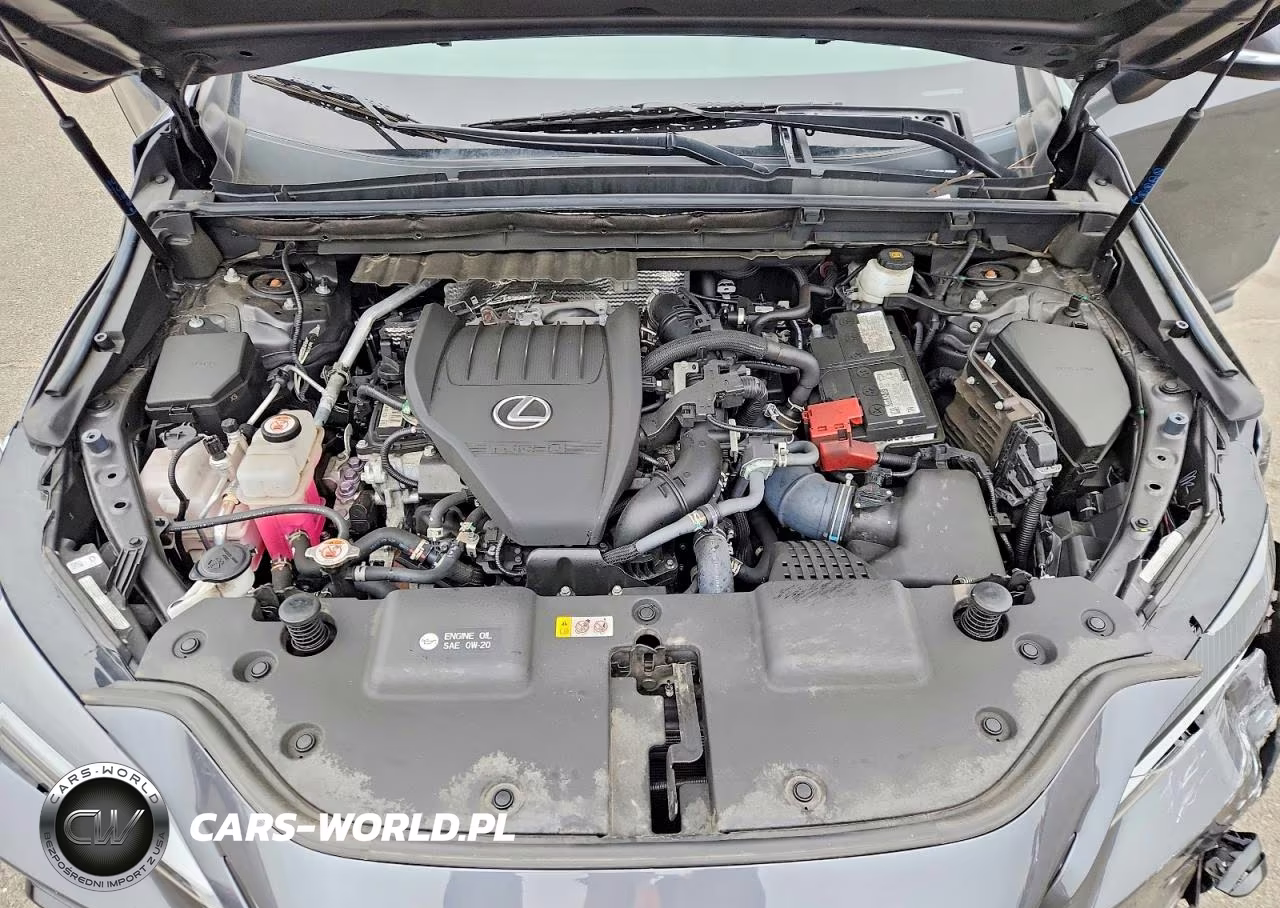2024 Lexus Nx 350 Premium VIN:2T2GGCEZ3RC041062 - 12