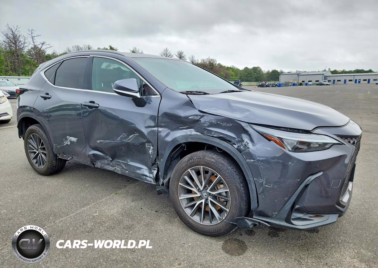 2024 Lexus Nx 350 Premium VIN:2T2GGCEZ3RC041062 - 4