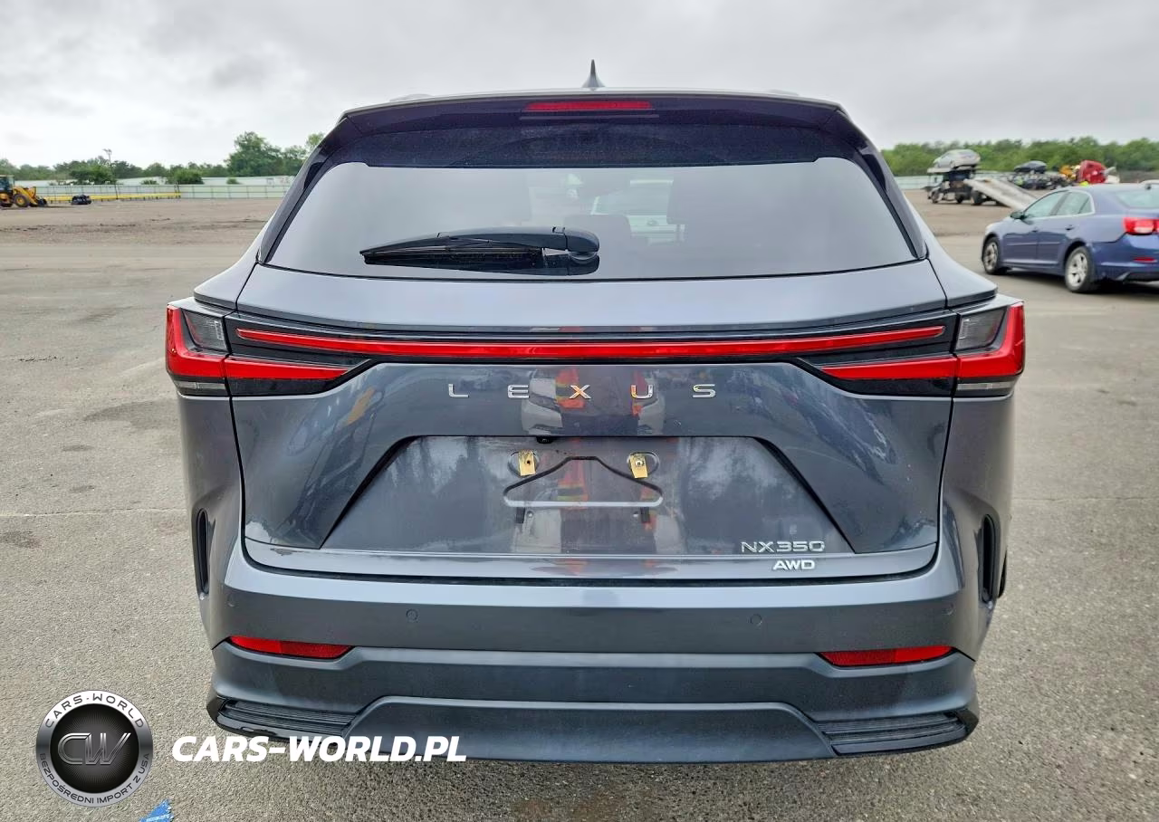 2024 Lexus Nx 350 Premium VIN:2T2GGCEZ3RC041062 - 6