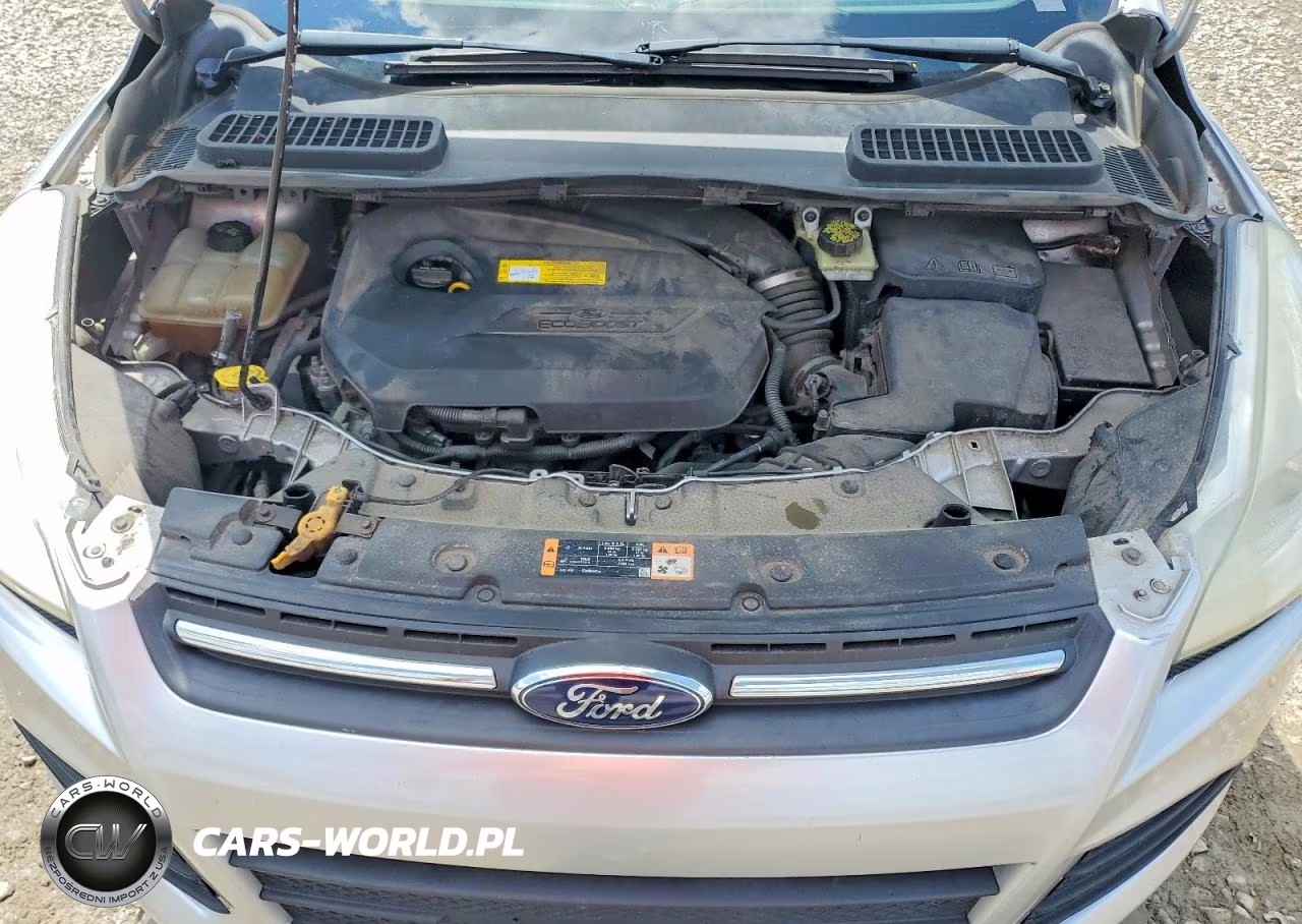 2016 Ford Escape Se VIN:1FMCU9GX3GUC45091 - 12