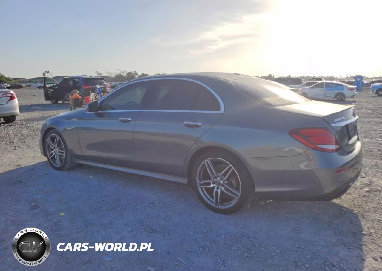 2019 Mercedes-Benz E 300 VIN:WDDZF4JB4KA689072 - 2