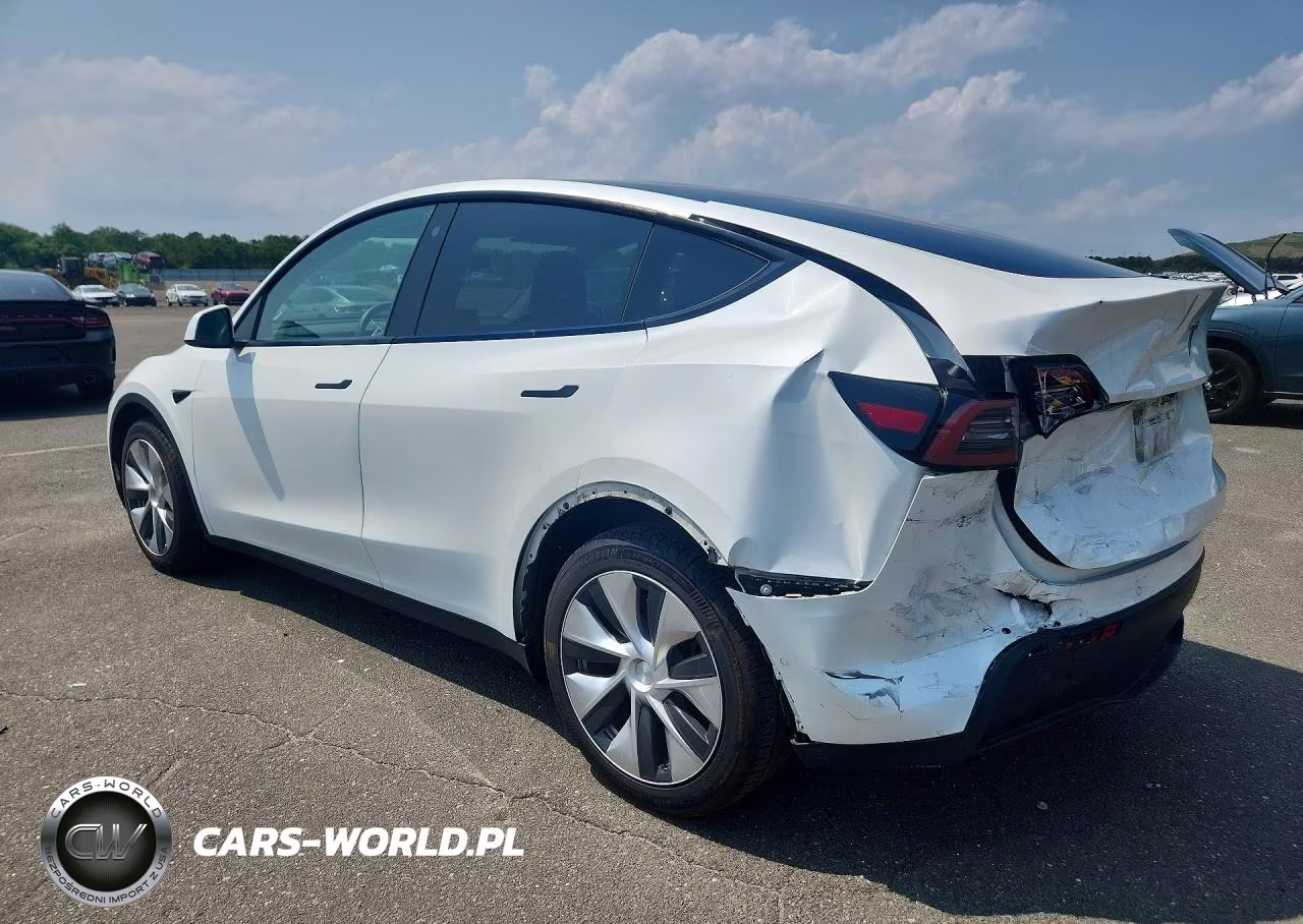 2022 Tesla Model Y VIN:7SAYGDEE2NF365429 - 2
