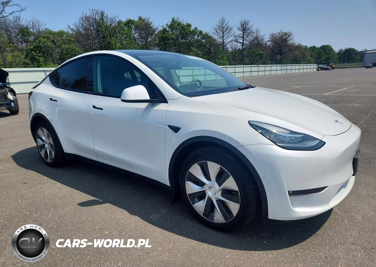2022 Tesla Model Y VIN:7SAYGDEE2NF365429 - 4