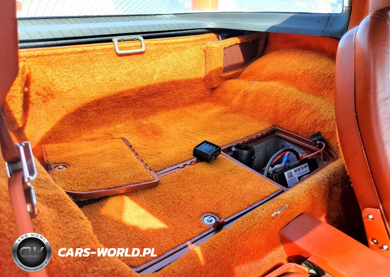 1981 Chevrolet Corvette VIN:1G1AY8761BS405158 - 10