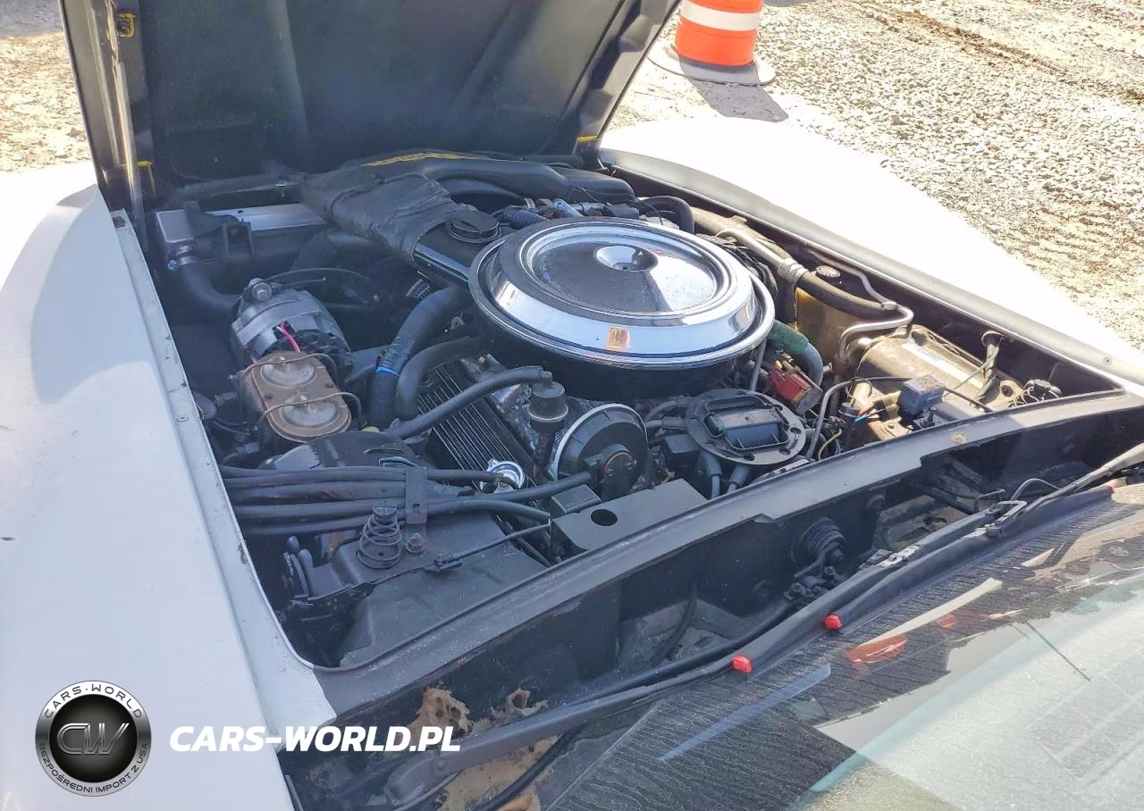 1981 Chevrolet Corvette VIN:1G1AY8761BS405158 - 11