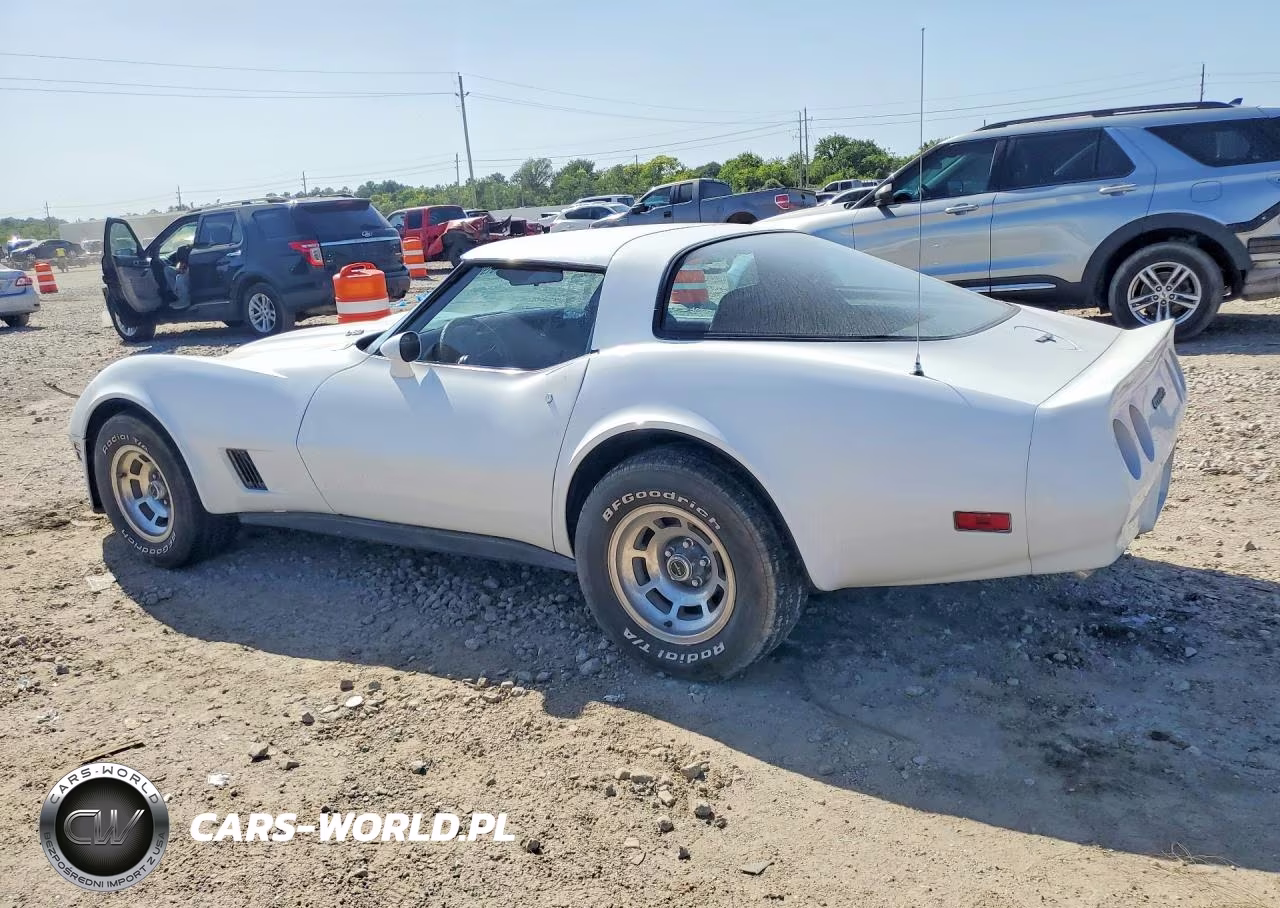1981 Chevrolet Corvette VIN:1G1AY8761BS405158 - 2