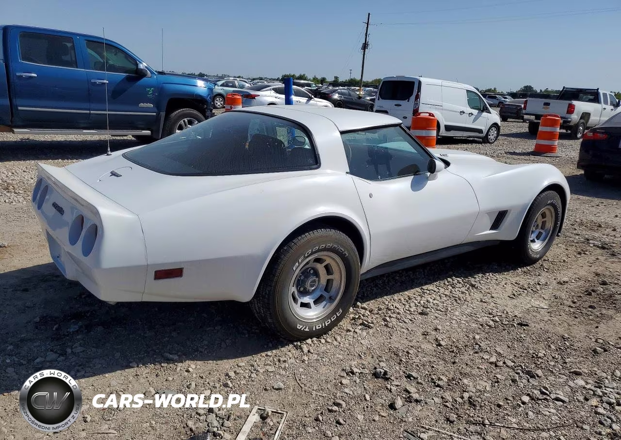 1981 Chevrolet Corvette VIN:1G1AY8761BS405158 - 3