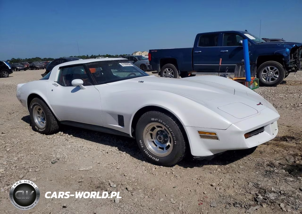 1981 Chevrolet Corvette VIN:1G1AY8761BS405158 - 4