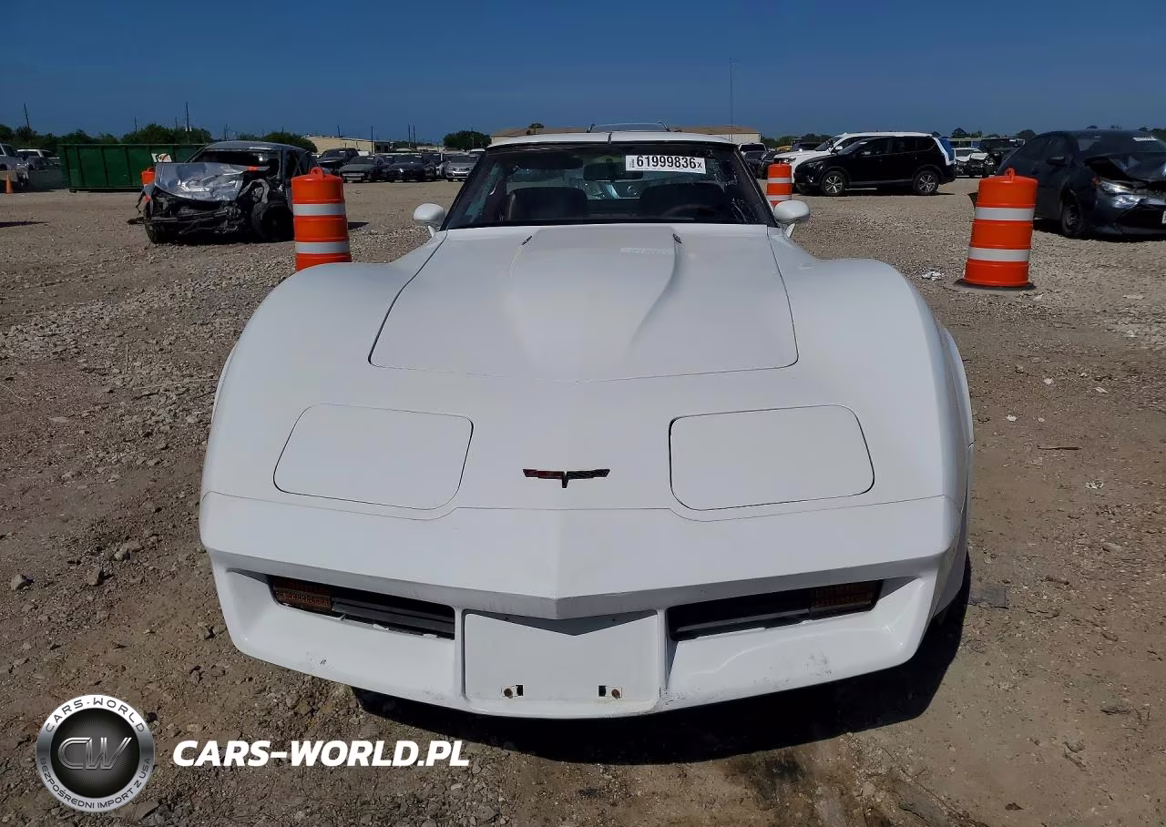 1981 Chevrolet Corvette VIN:1G1AY8761BS405158 - 5