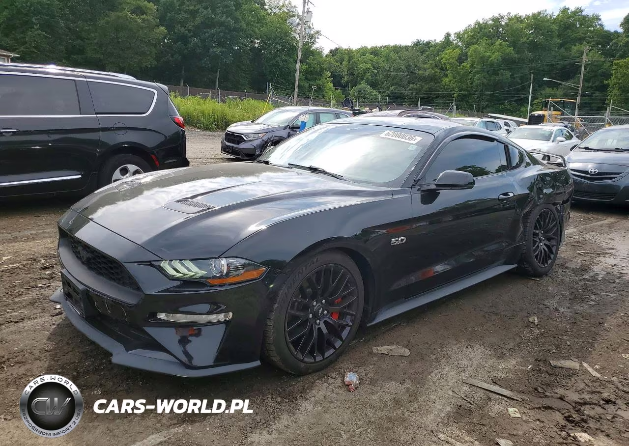 2019 Ford Mustang Gt VIN:1FA6P8CFXK5182614 - 1