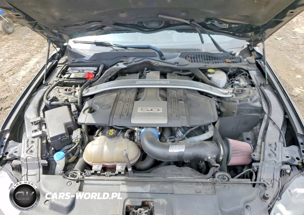 2019 Ford Mustang Gt VIN:1FA6P8CFXK5182614 - 11