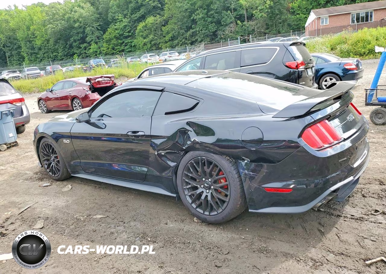 2019 Ford Mustang Gt VIN:1FA6P8CFXK5182614 - 2