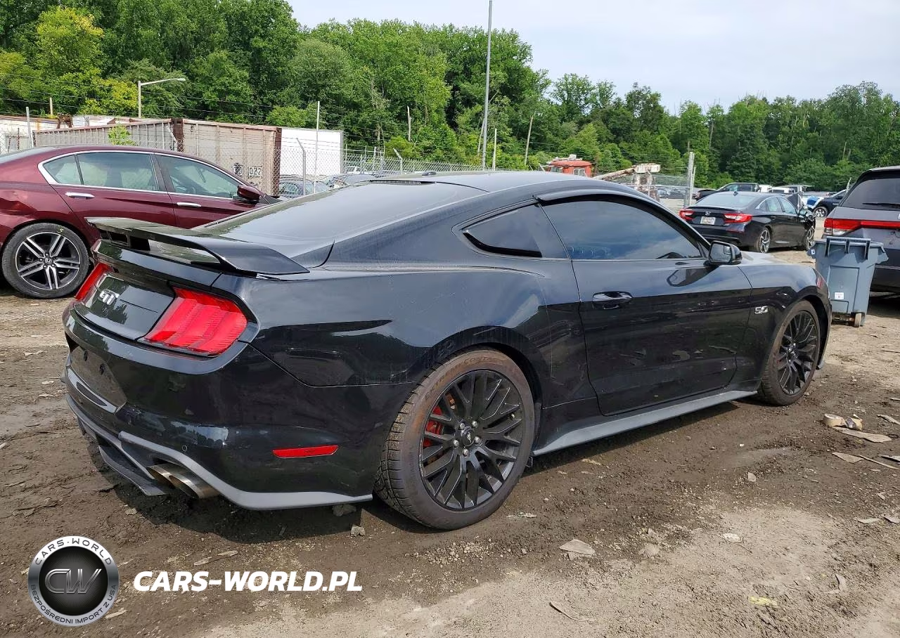 2019 Ford Mustang Gt VIN:1FA6P8CFXK5182614 - 3