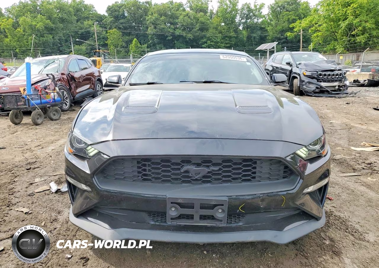 2019 Ford Mustang Gt VIN:1FA6P8CFXK5182614 - 5