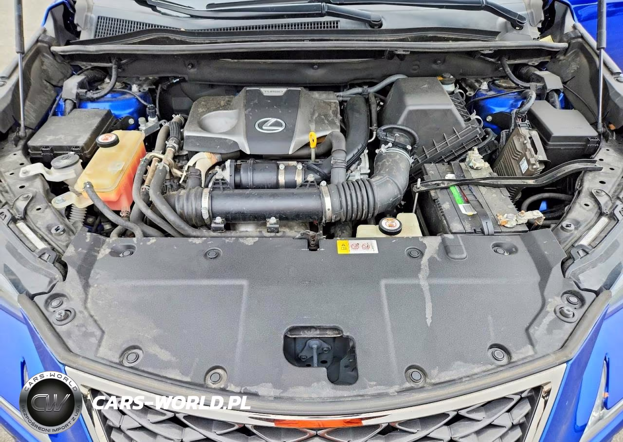2019 Lexus Nx 300 F Sport VIN:JTJYARBZ8K2129673 - 12