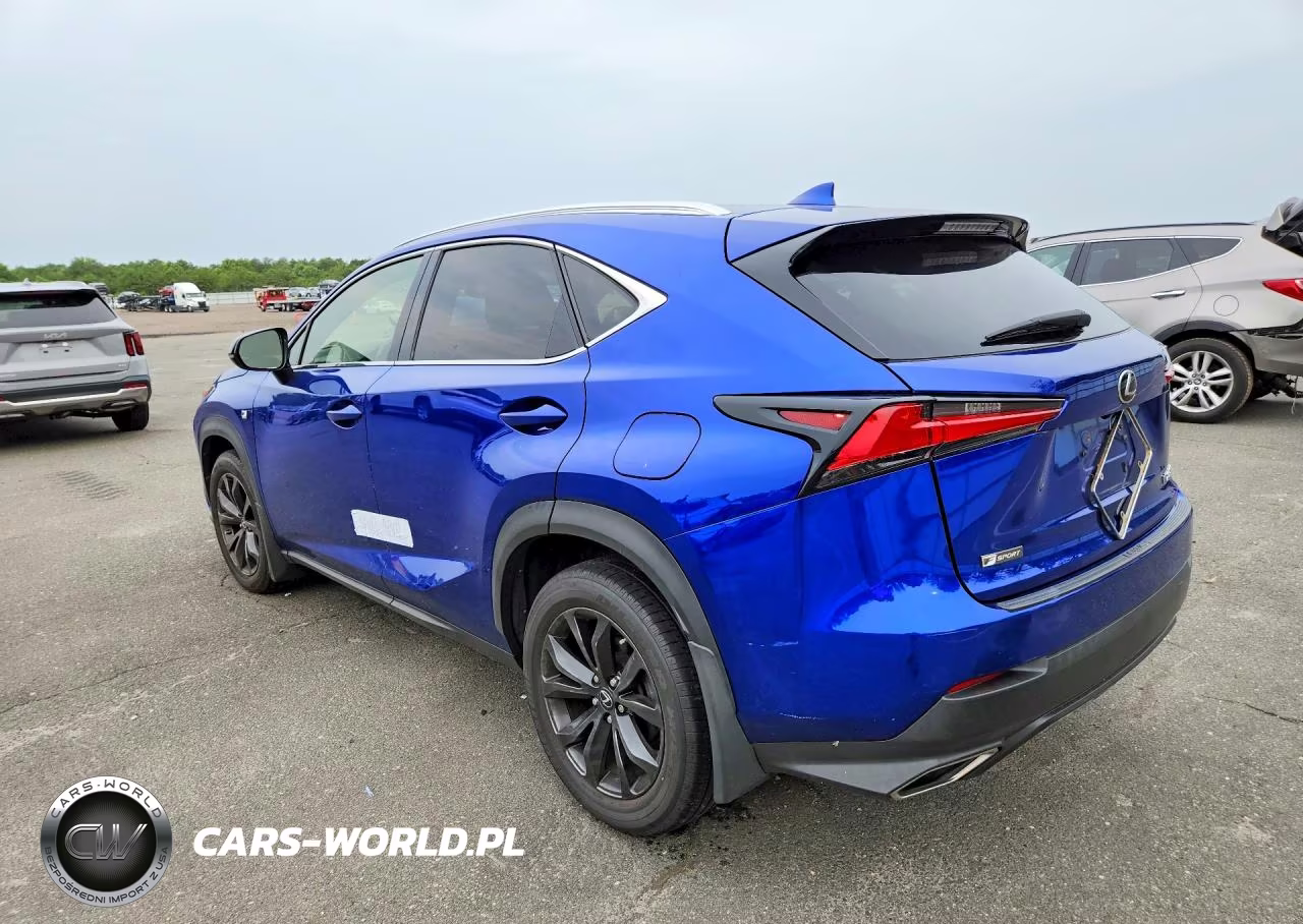 2019 Lexus Nx 300 F Sport VIN:JTJYARBZ8K2129673 - 2