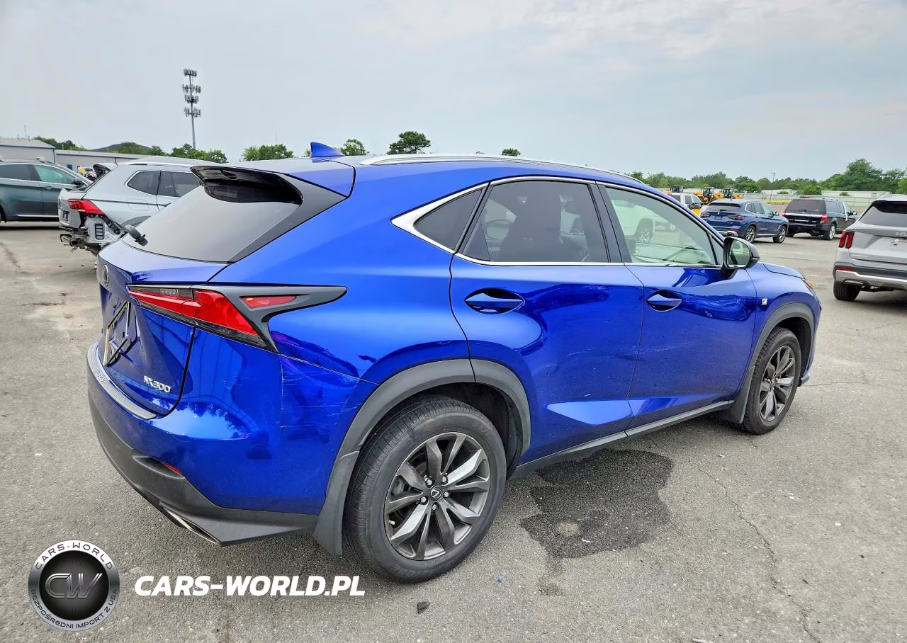 2019 Lexus Nx 300 F Sport VIN:JTJYARBZ8K2129673 - 3