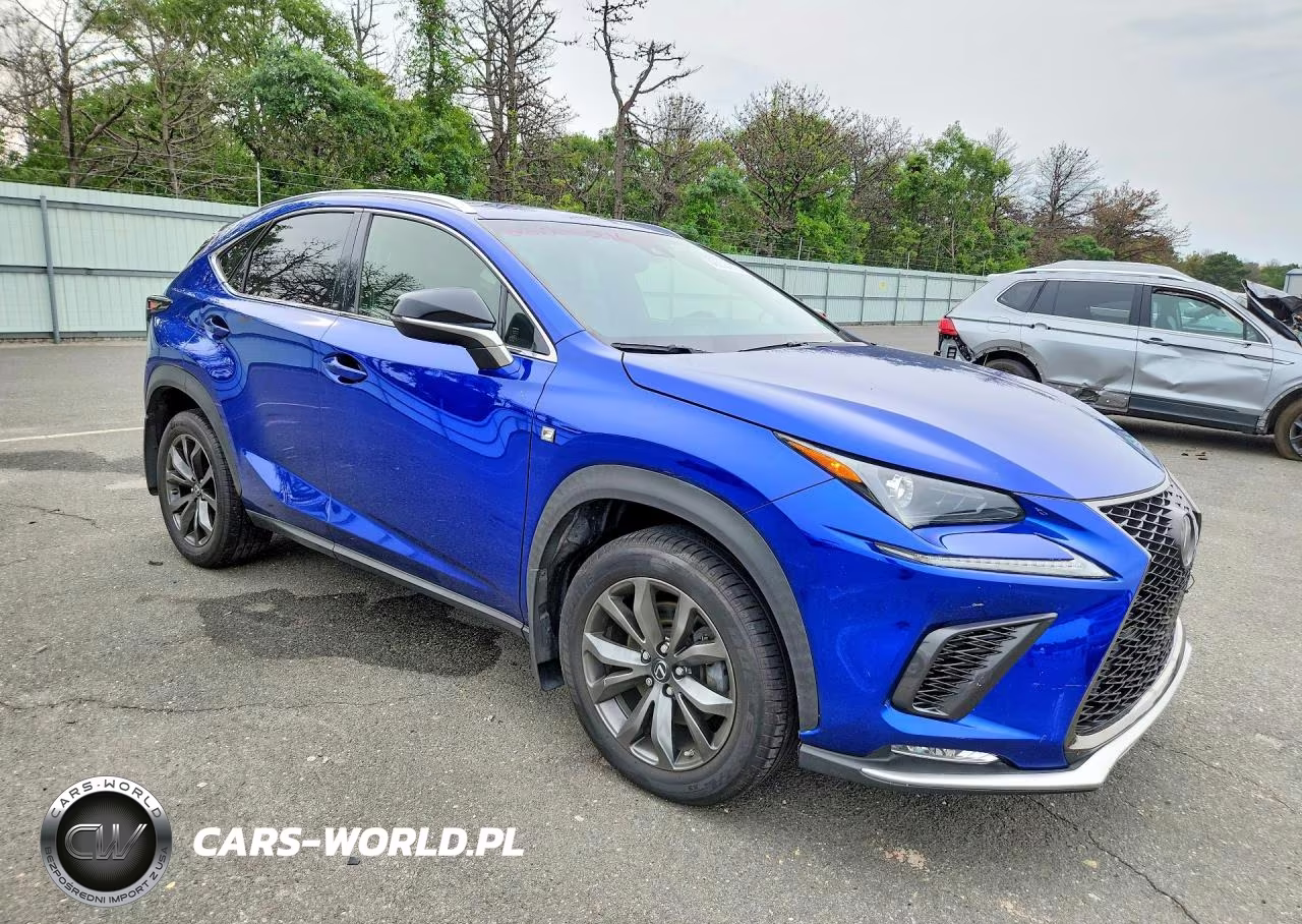 2019 Lexus Nx 300 F Sport VIN:JTJYARBZ8K2129673 - 4