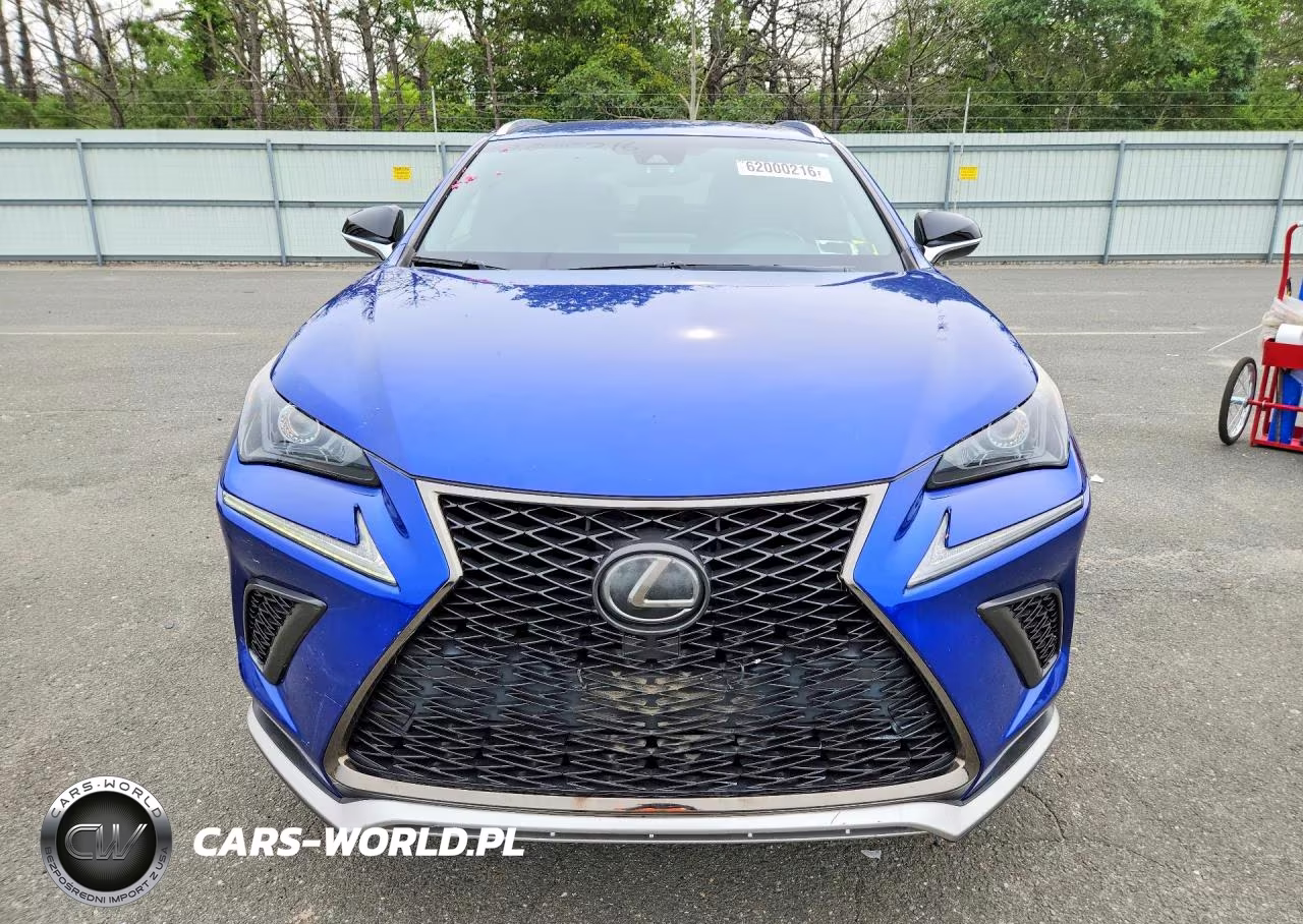 2019 Lexus Nx 300 F Sport VIN:JTJYARBZ8K2129673 - 5