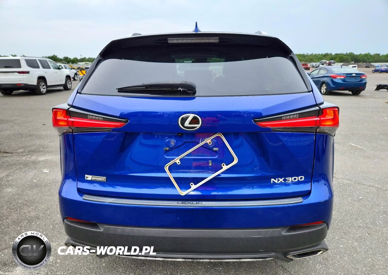 2019 Lexus Nx 300 F Sport VIN:JTJYARBZ8K2129673 - 6