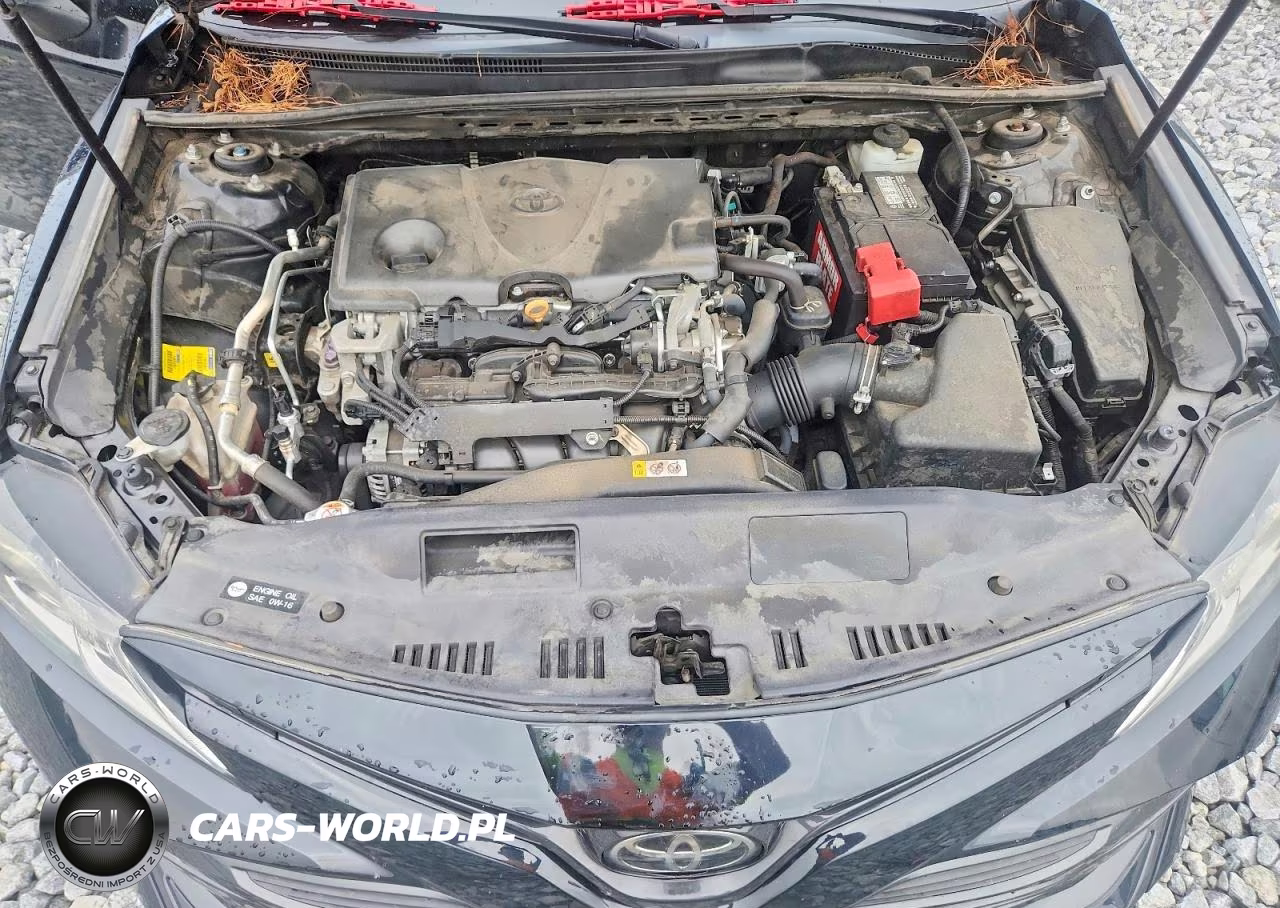 2019 Toyota Camry Le VIN:4T1B11HK8KU755616 - 11