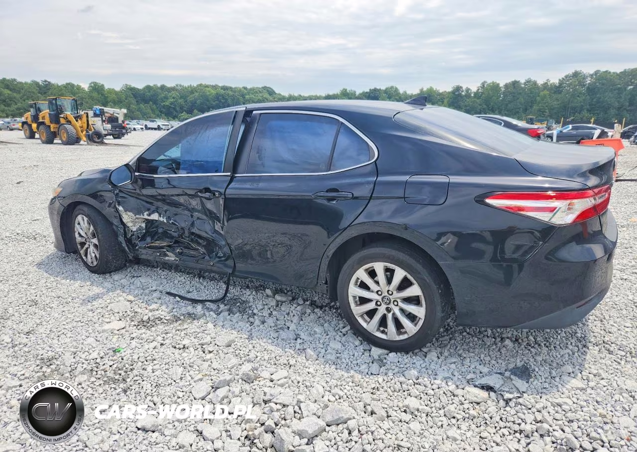 2019 Toyota Camry Le VIN:4T1B11HK8KU755616 - 2