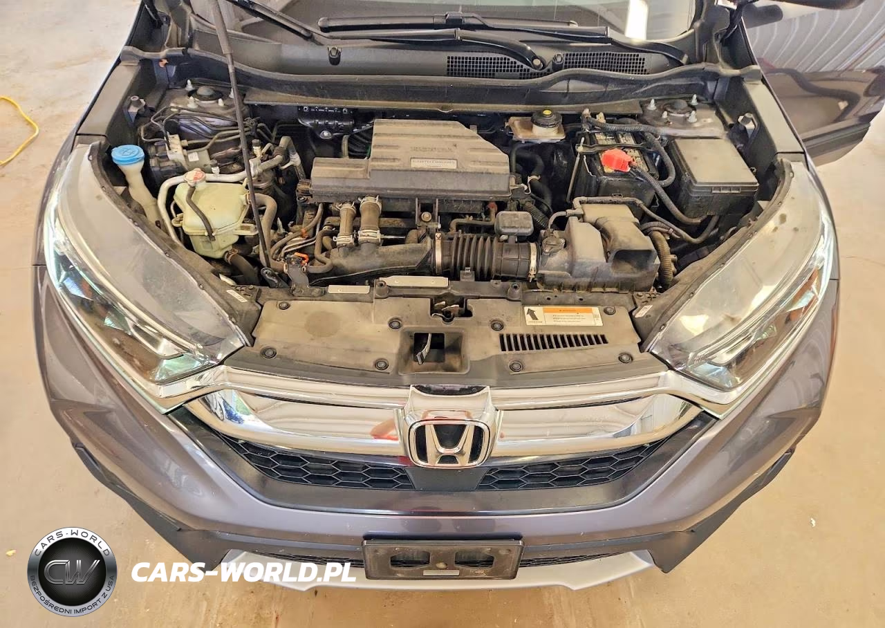 2019 Honda Cr-V Exl VIN:5J6RW2H86KL028442 - 12