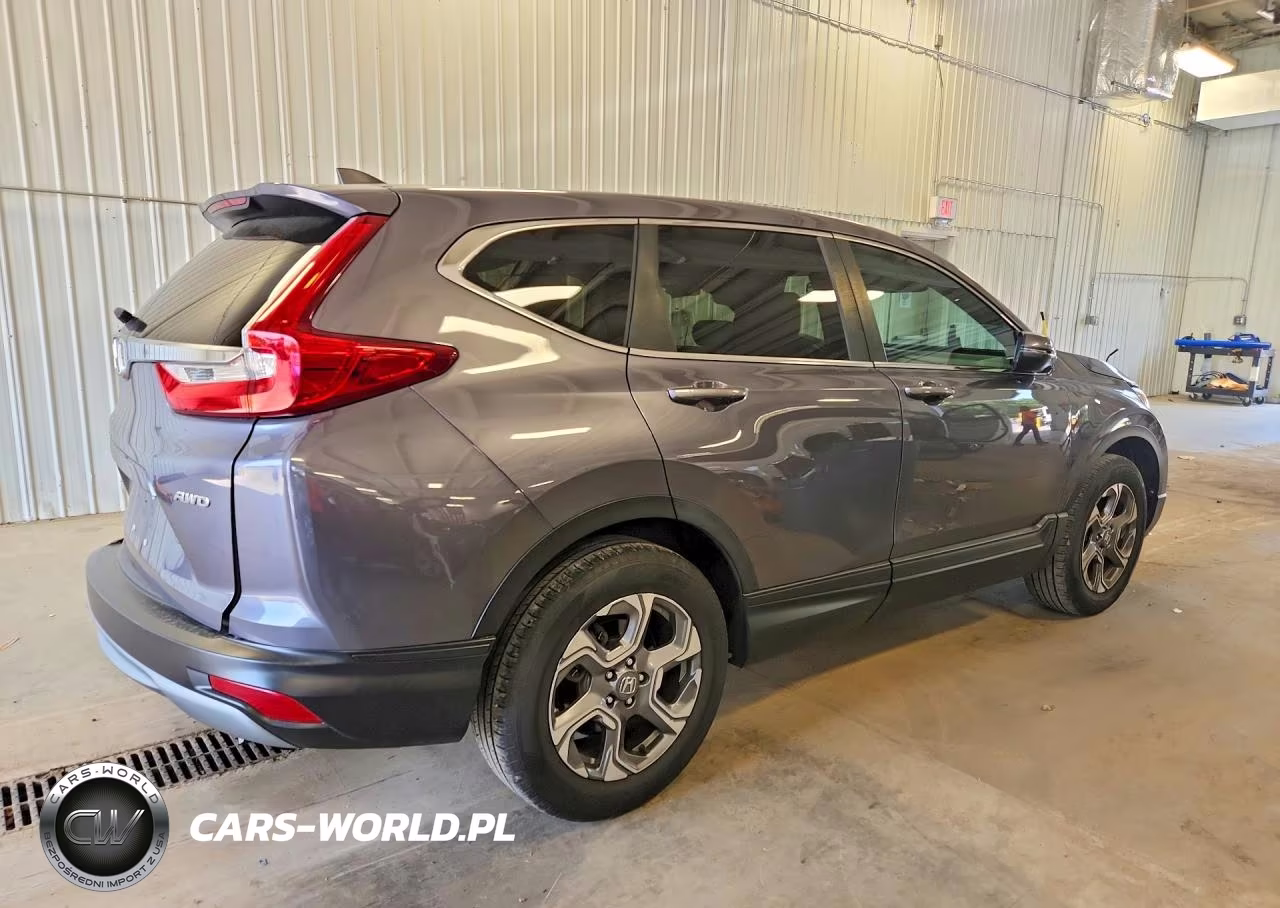 2019 Honda Cr-V Exl VIN:5J6RW2H86KL028442 - 3