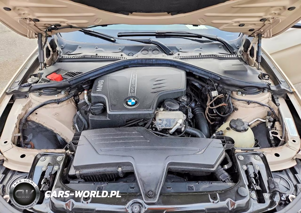 2013 BMW 320 I xDrive VIN:WBA3C3C50DF982500 - 11