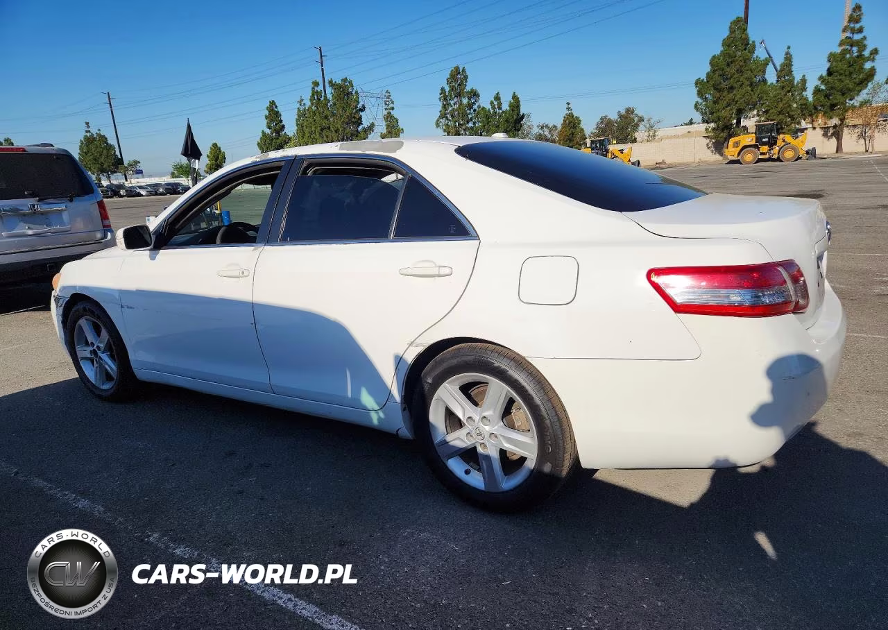 2010 Toyota Camry Le VIN:JTNBF3EK4A3000646 - 2
