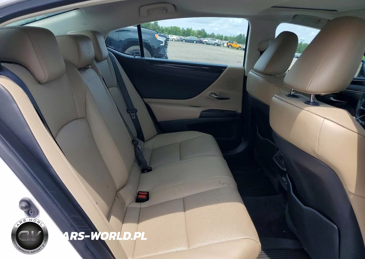 2020 Lexus Es 300H VIN:58AD21B16LU011612 - 10