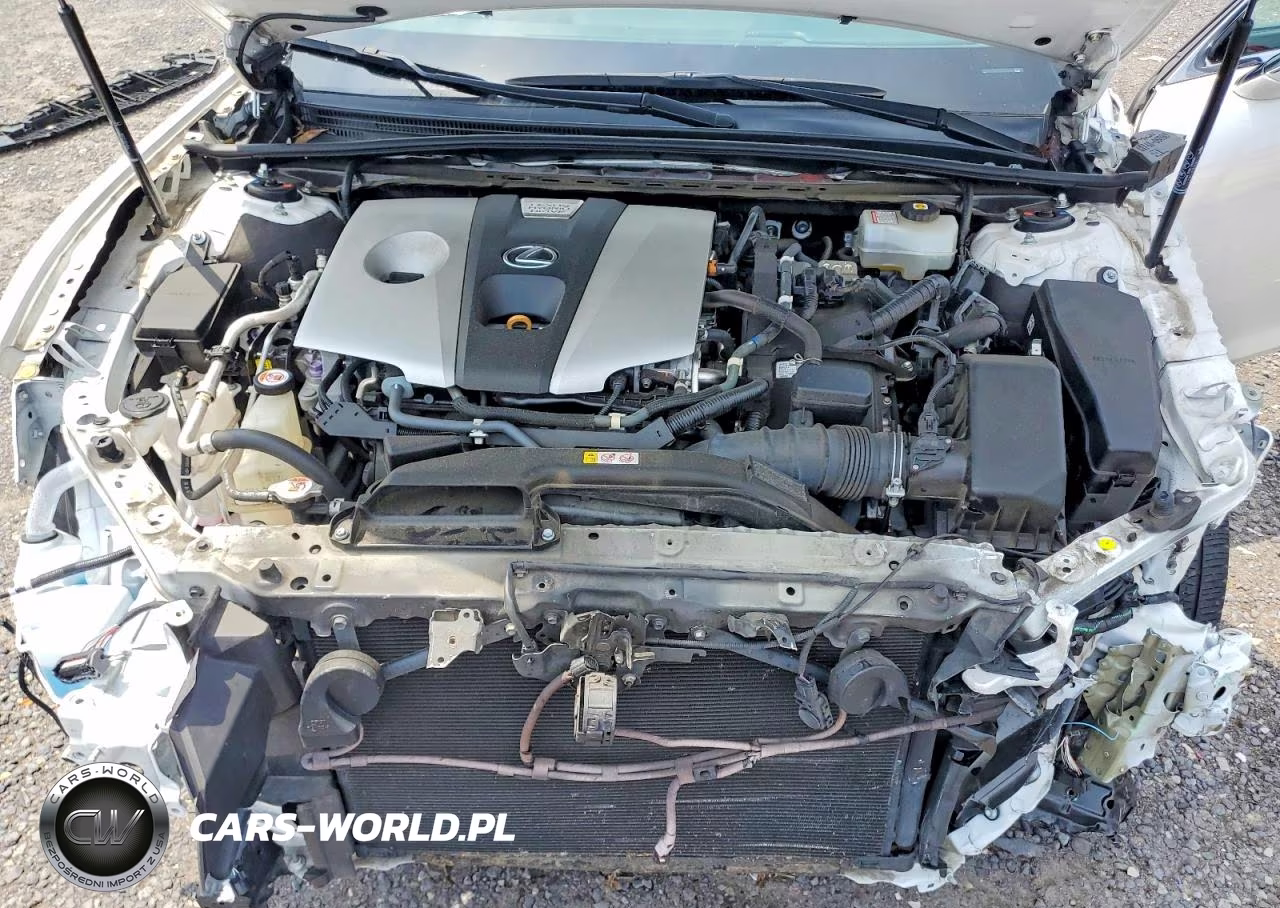 2020 Lexus Es 300H VIN:58AD21B16LU011612 - 11