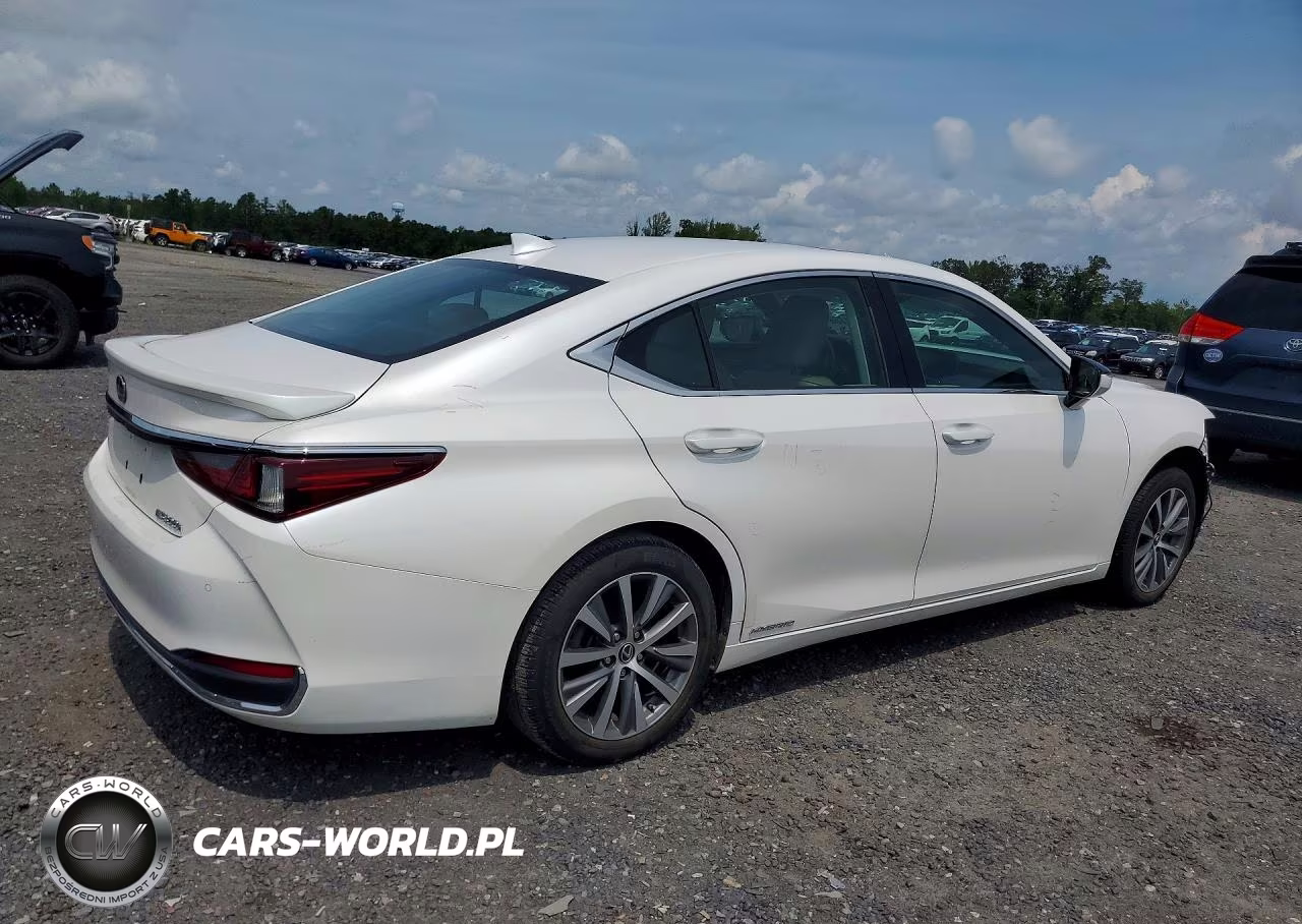 2020 Lexus Es 300H VIN:58AD21B16LU011612 - 3