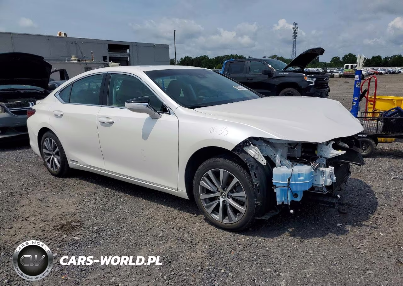 2020 Lexus Es 300H VIN:58AD21B16LU011612 - 4