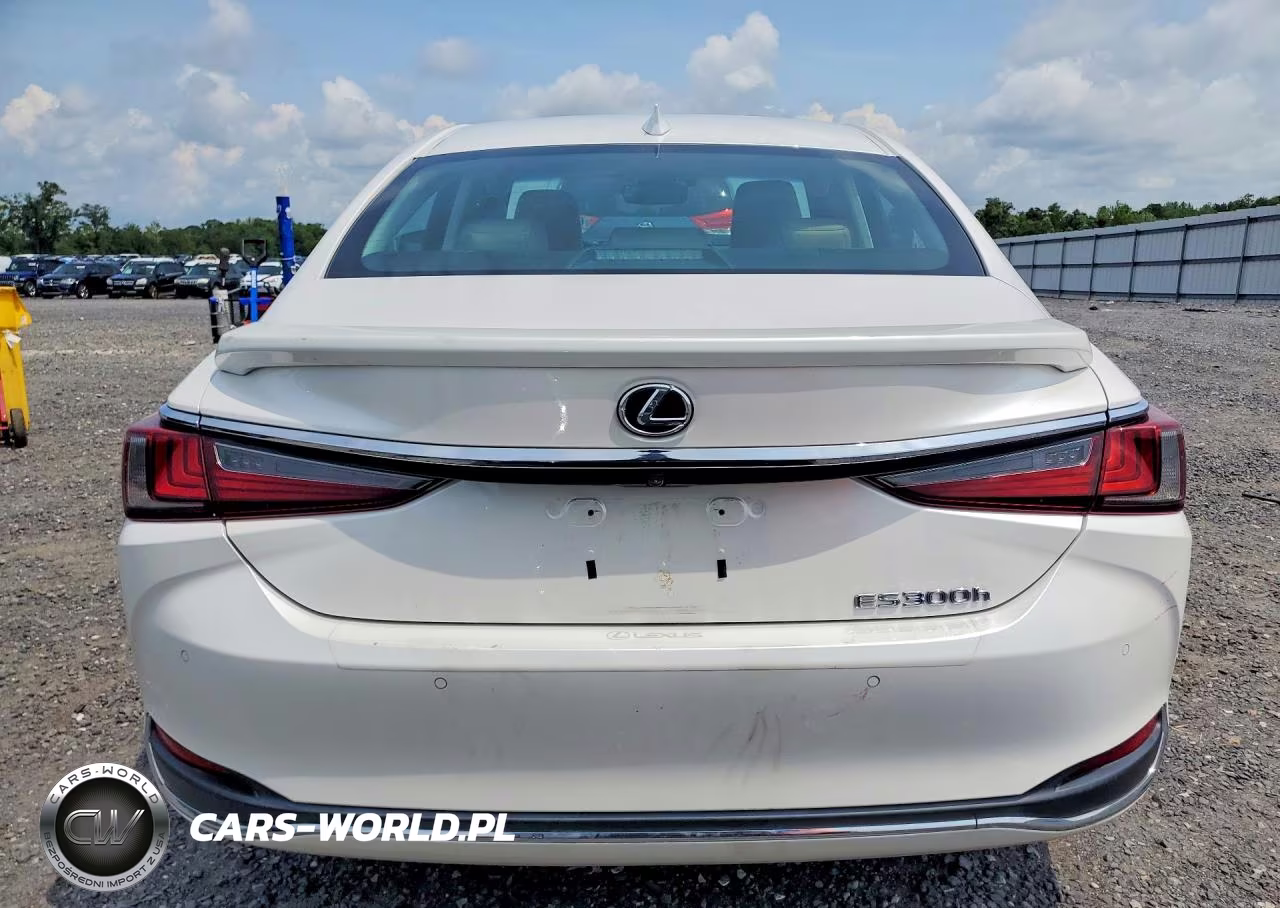 2020 Lexus Es 300H VIN:58AD21B16LU011612 - 6