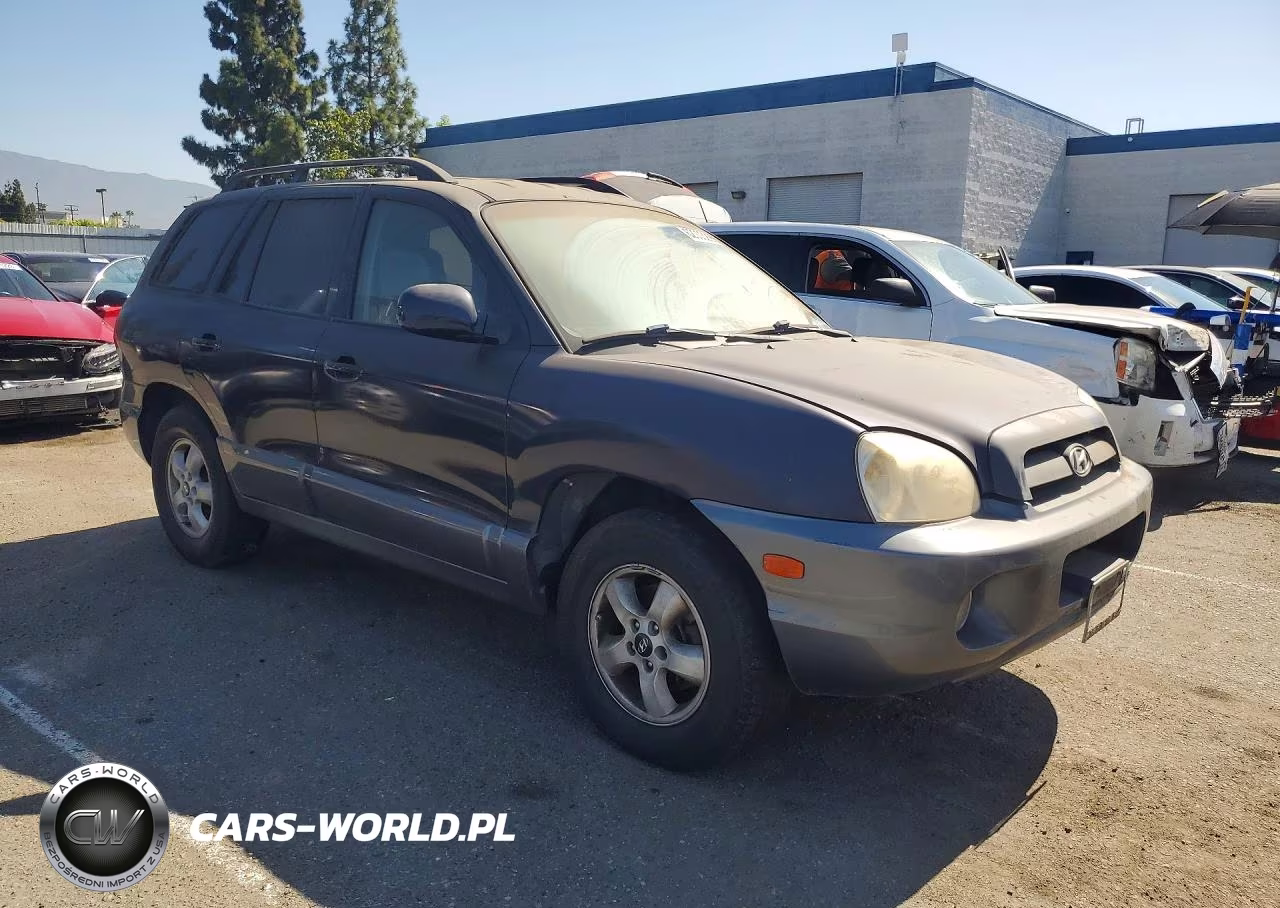 2005 Hyundai Santa Fe Gls VIN:KM8SC13D75U934141 - 4