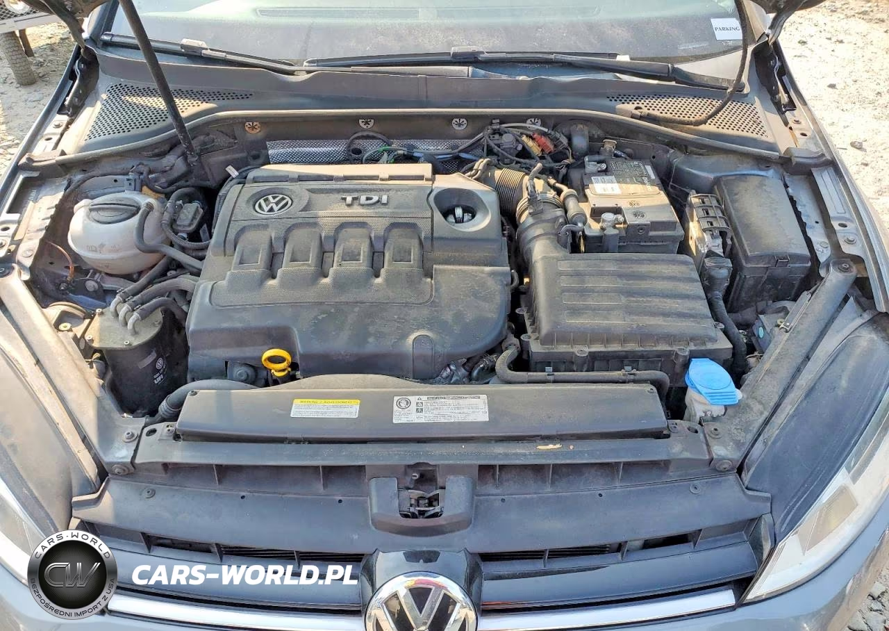 2015 Volkswagen Golf Sportwagen Tdi S VIN:3VWFA7AUXFM519934 - 11