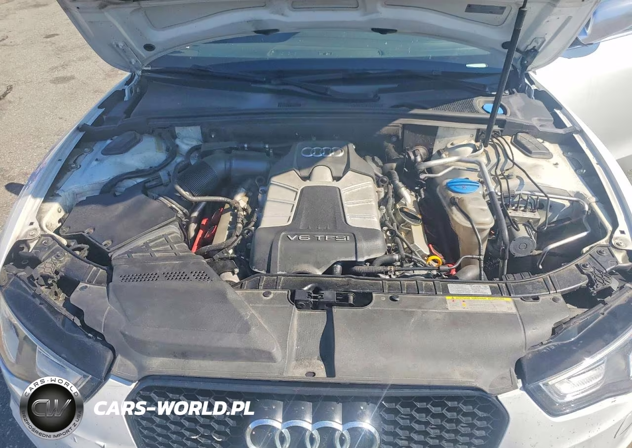 2013 Audi S5 Premium Plus VIN:WAUCGAFR8DA031496 - 11