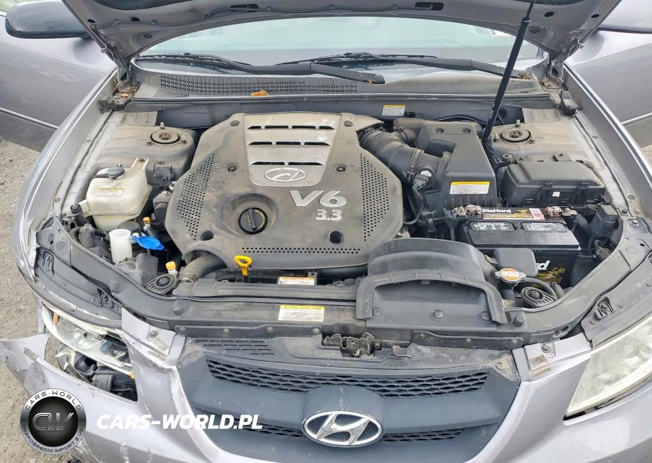 2007 Hyundai Sonata Se VIN:5NPEU46F47H157864 - 11