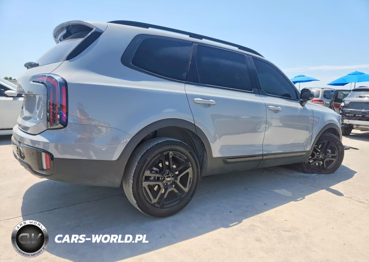 2024 Kia Telluride Sx-Prestige X-Line VIN:5XYP5DGC0RG556968 - 3